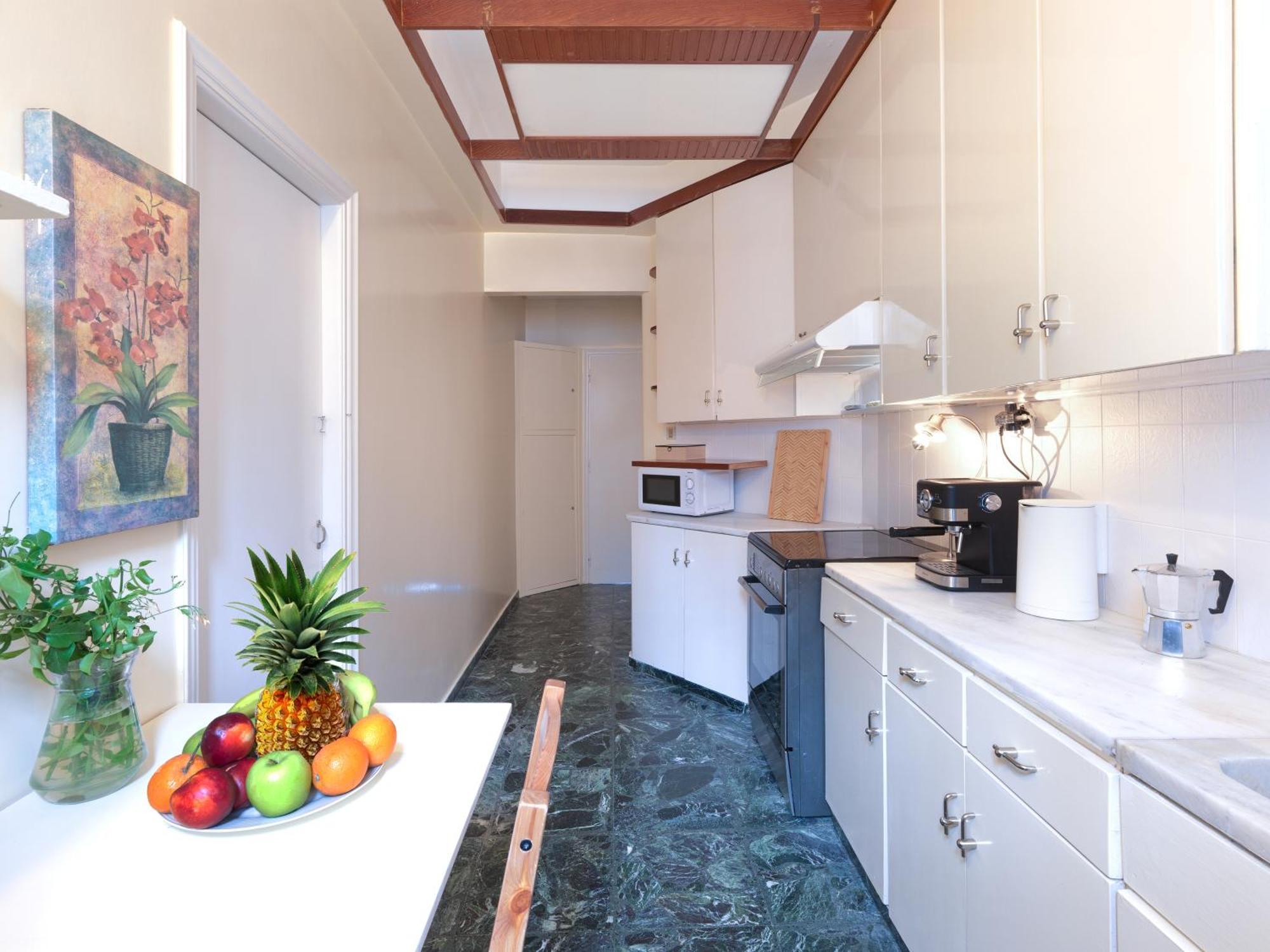 Central Pagrati Apartment With Park View Balcony - Opp Pangrati Grove Atenas Exterior foto